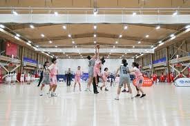 CBA常规赛：北京控股队主场胜南京头排苏酒队